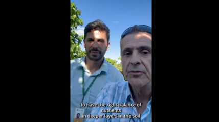 Speel video 'Sustainable Farming at Nova Resende Nucleus Farm'