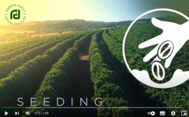 Video 'Meet FarmersDirect Coffee' ansehen