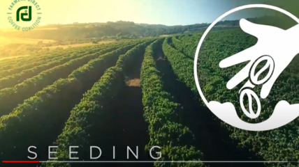 Watch video 'Meet FarmersDirect Coffee'